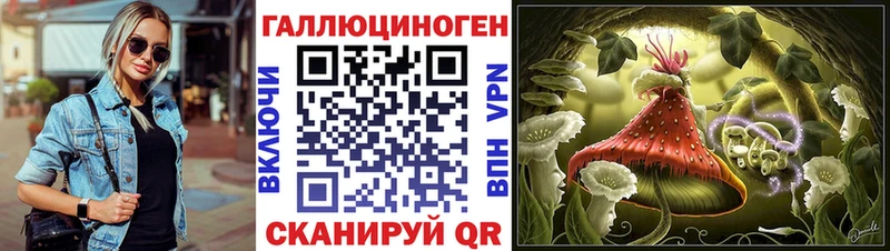 Псилоцибиновые грибы Cubensis  KRAKEN   Любань 